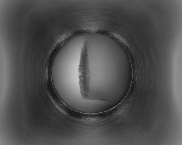 X0000086020638200704131851