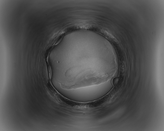X0000086020639200704131851