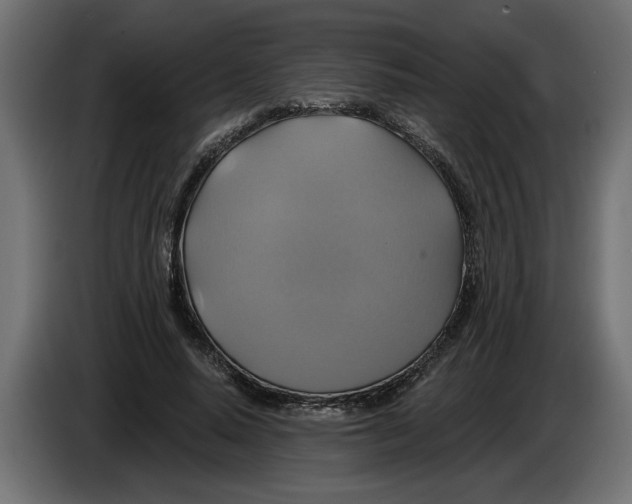 X0000086020640200704131851