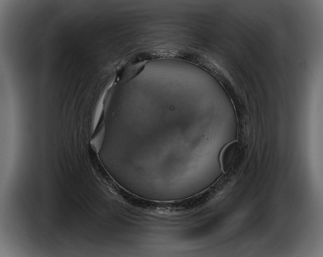 X0000086020641200704131851