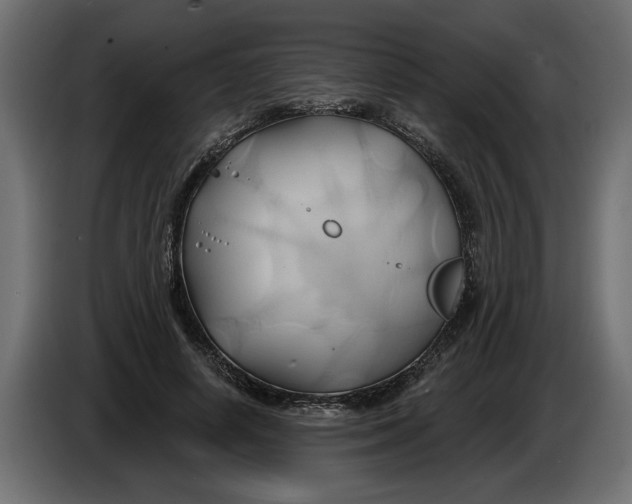 X0000086020642200704131851