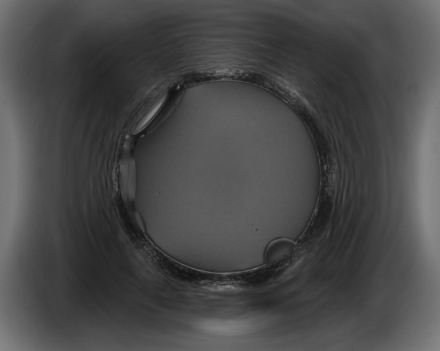 X0000086020643200704131851
