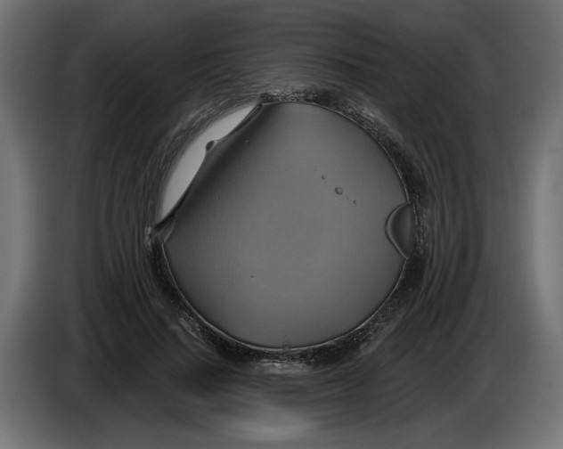 X0000086020644200704131851