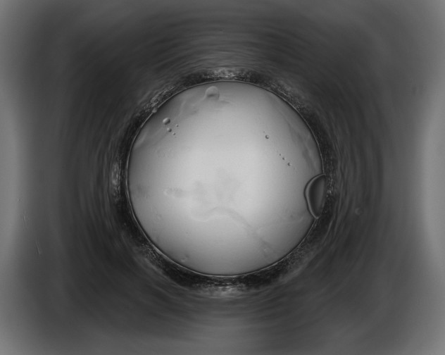 X0000086020646200704131851