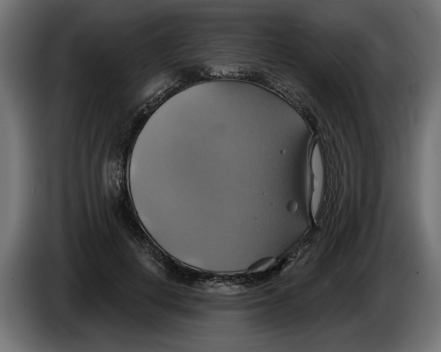 X0000086020648200704131851