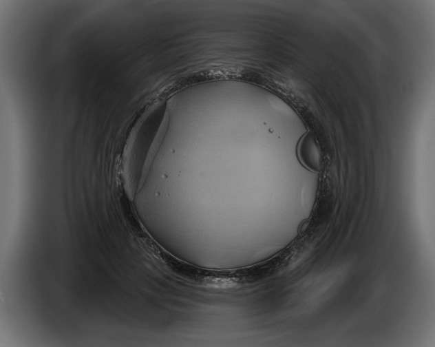 X0000086020649200704131851
