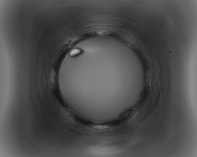 X0000086020650200704131851