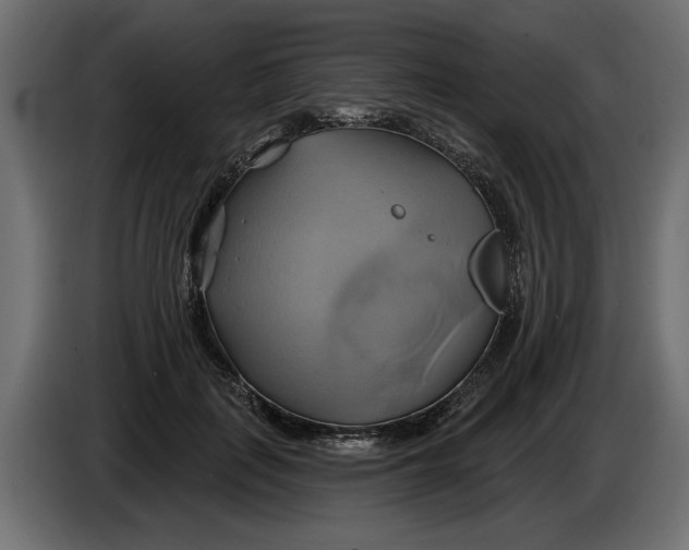 X0000086020651200704131851