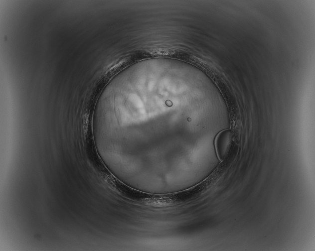 X0000086020652200704131851