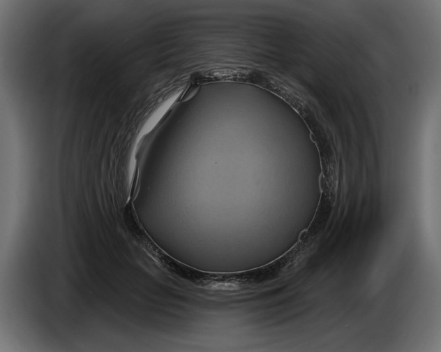 X0000086020653200704131851