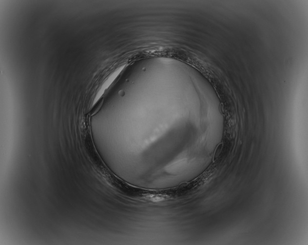 X0000086020654200704131851