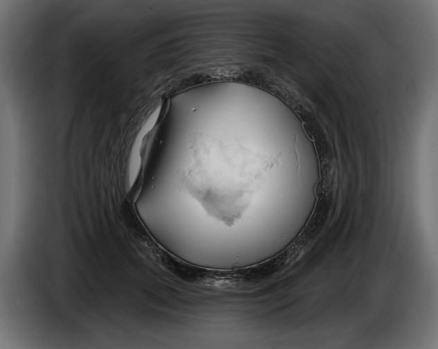 X0000086020655200704131851