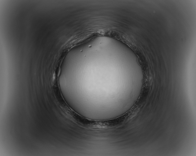 X0000086020656200704131851