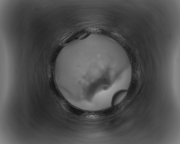 X0000086020658200704131851