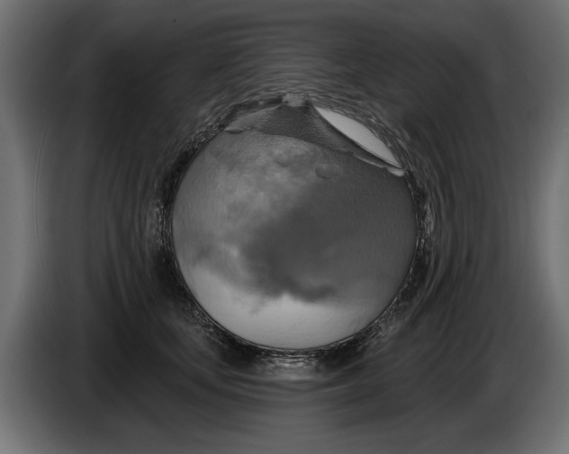 X0000086020659200704131851