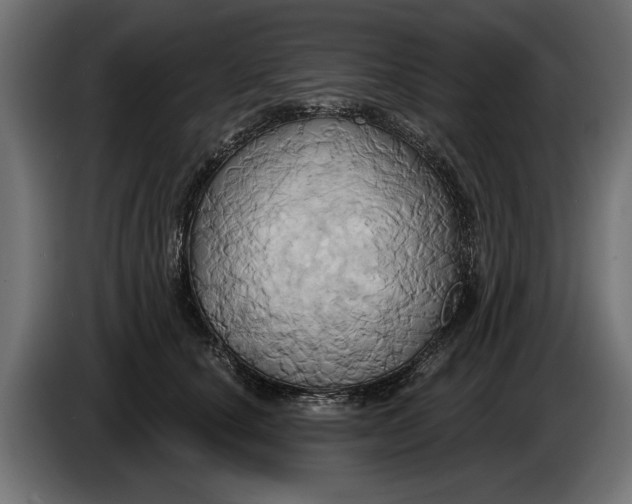 X0000086020660200704131851