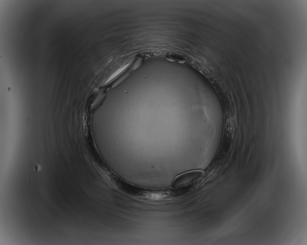 X0000086020662200704131851