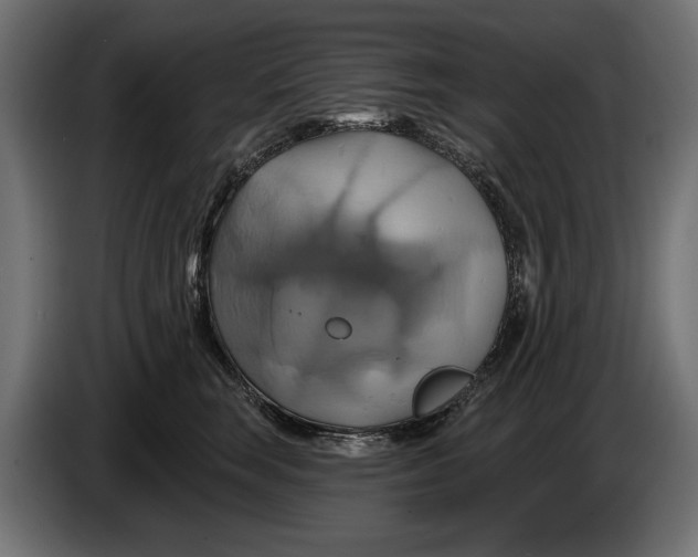 X0000086020663200704131851
