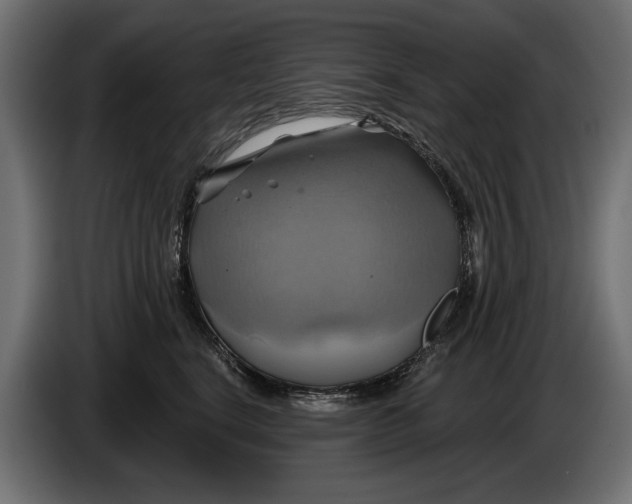 X0000086020664200704131851