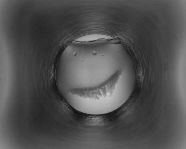 X0000086020665200704131851