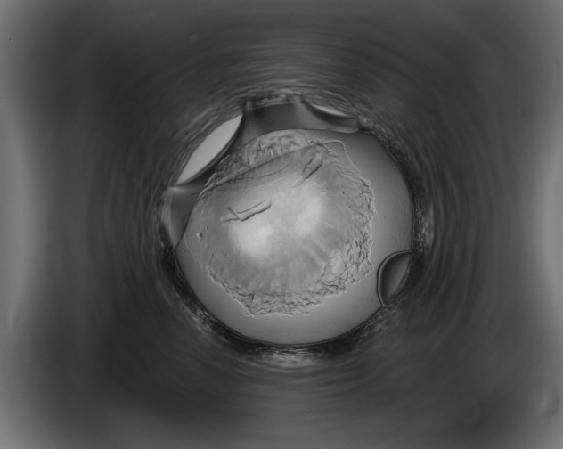 X0000086020666200704131851