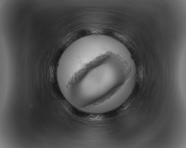 X0000086020667200704131851