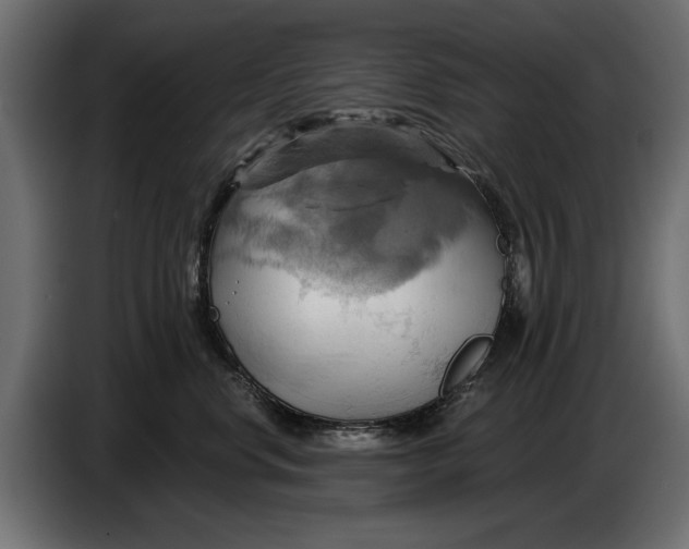 X0000086020668200704131851