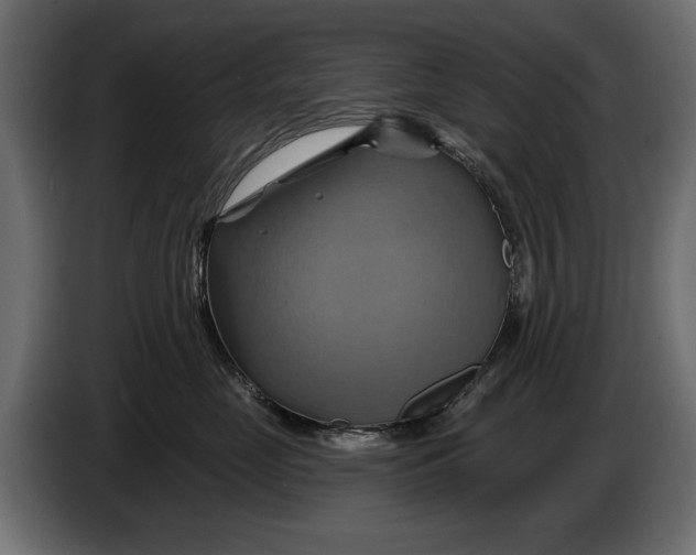 X0000086020669200704131851