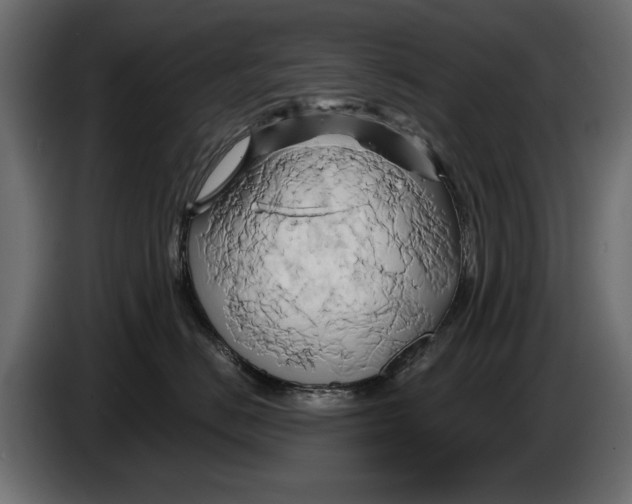 X0000086020670200704131851