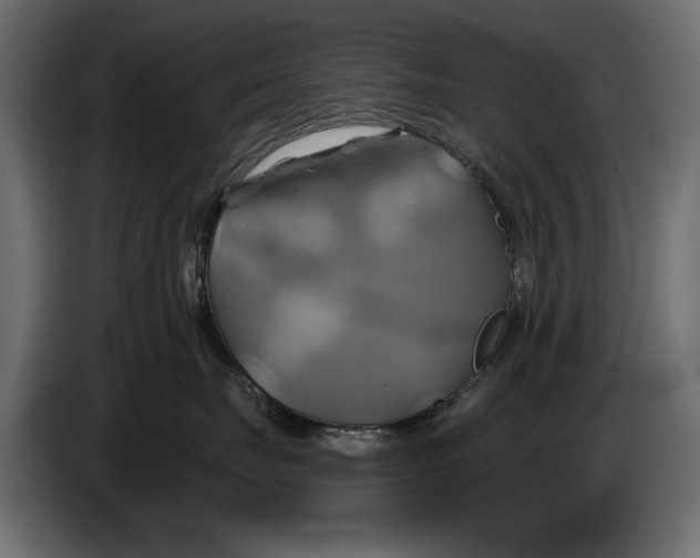 X0000086020671200704131851