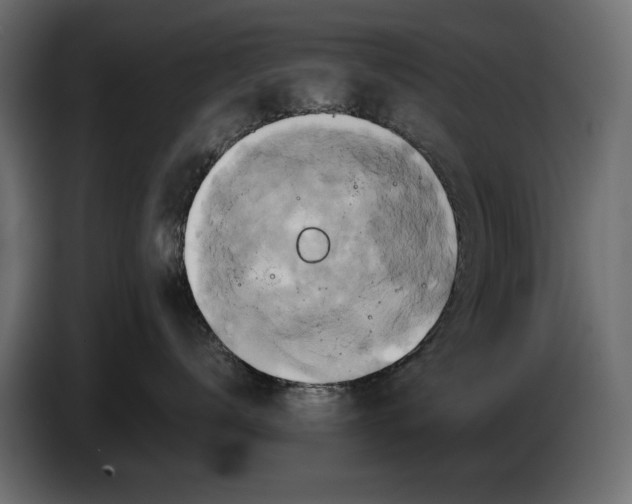 X0000086020672200704131851