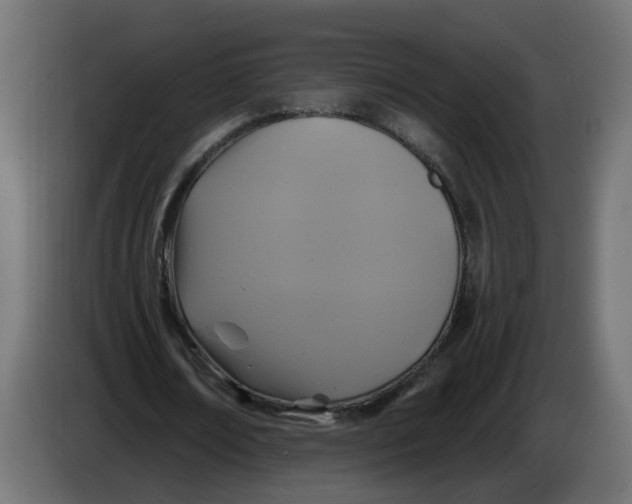 X0000086020674200704131850