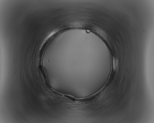 X0000086020675200704131850