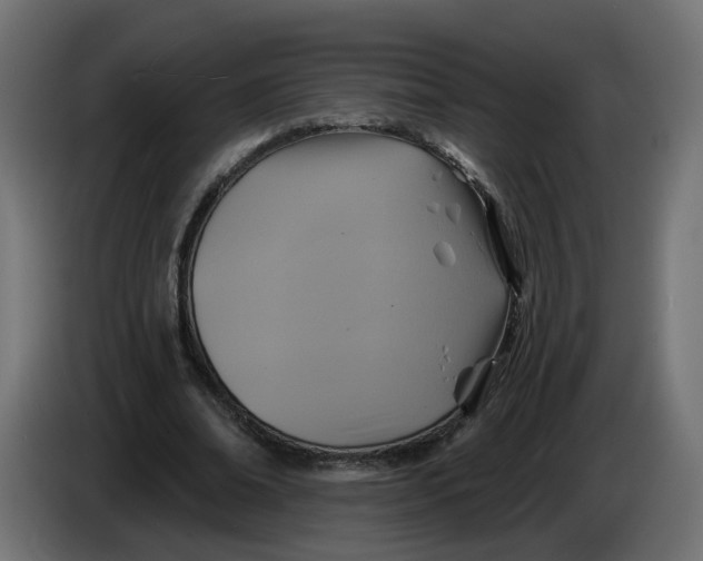 X0000086020678200704131850