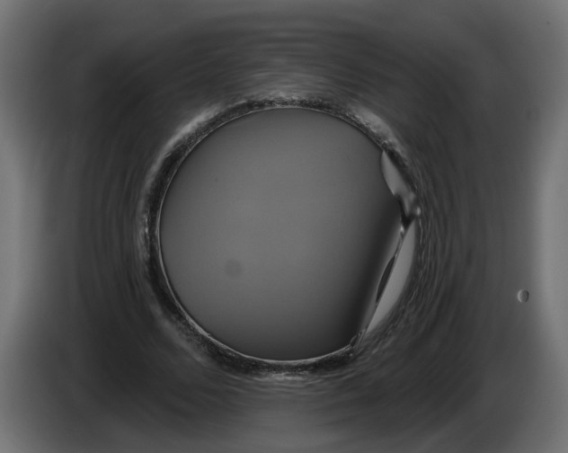 X0000086020680200704131850