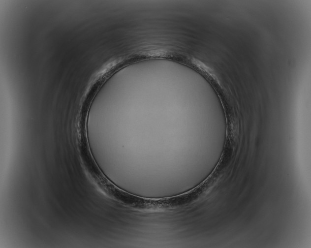 X0000086020682200704131850