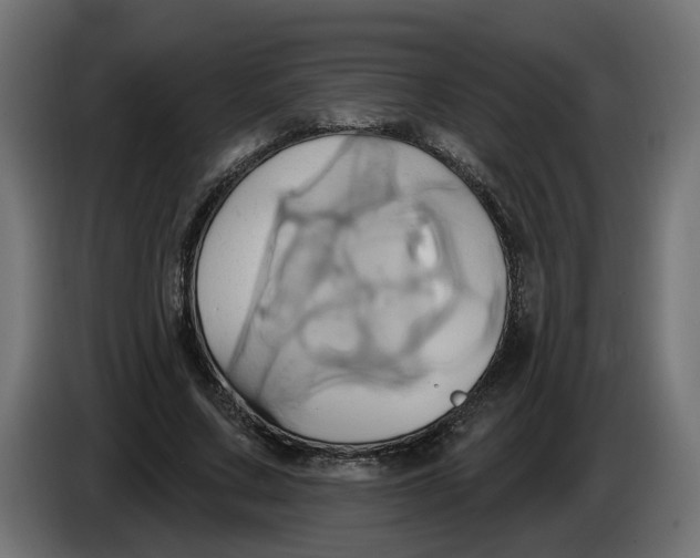 X0000086020683200704131850