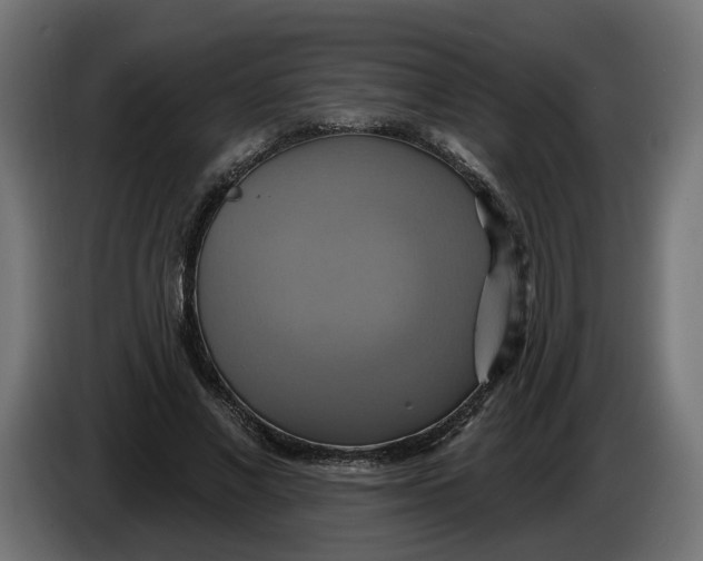 X0000086020685200704131850