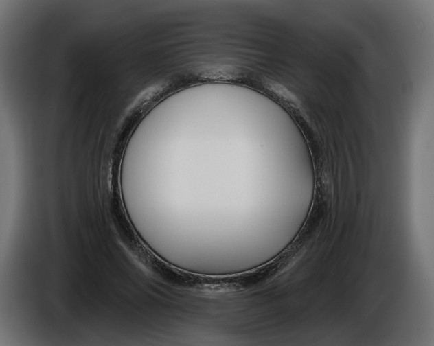 X0000086020686200704131850