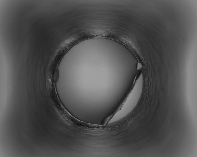 X0000086020688200704131850