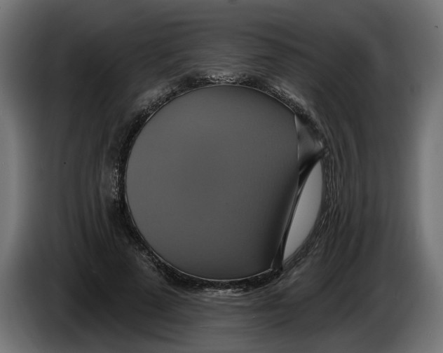 X0000086020689200704131850