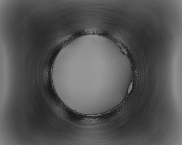 X0000086020690200704131850