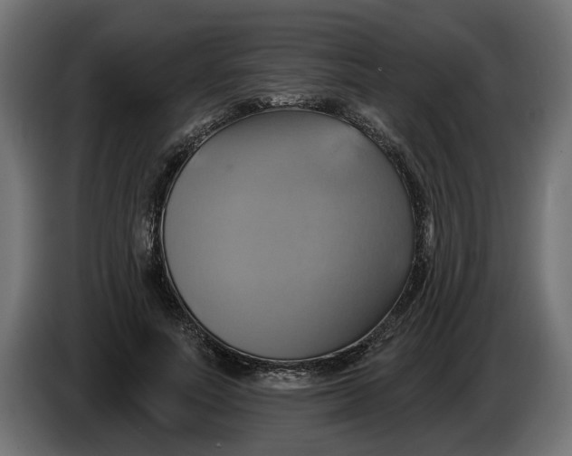 X0000086020691200704131850