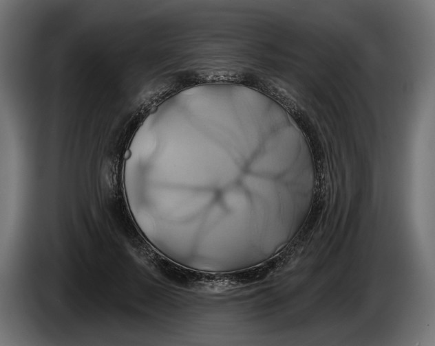 X0000086020695200704131850