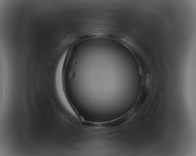 X0000086020696200704131850