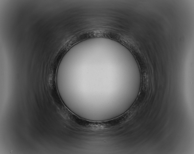 X0000086020698200704131850