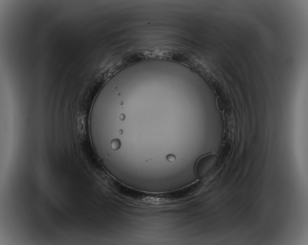 X0000086020699200704131850