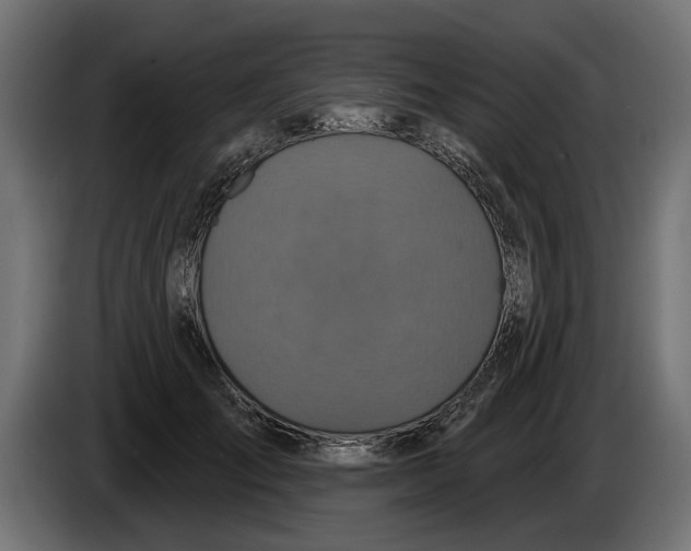 X0000086020701200704131850