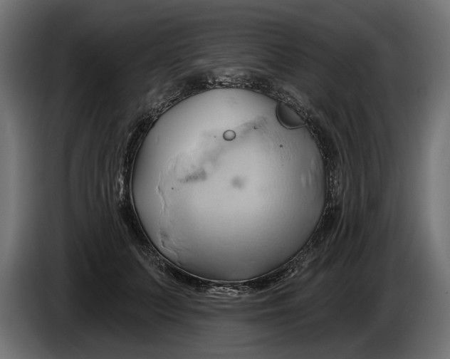 X0000086020703200704131850