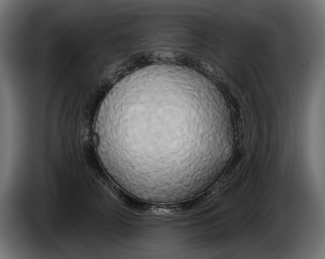 X0000086020706200704131850